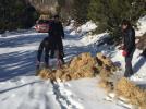 K�br�sc�k�ta yaban hayvanlar unutulmad�