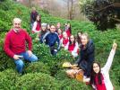 Rize�de �ampiyon oldular!..