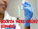 Gerede�de �mers vir�s�� ��phesi