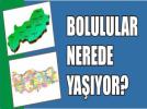 ��TE BOLULULARIN YA�ADI�I �LLER...