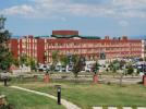 A�B� T�p Fak�ltesi Hastanesi'nden ka�an ka�ana