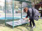 Sahipsiz hayvanlara Belediye �efkati