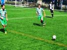 Bol goll� hafta