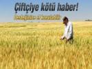 ��FT��YE K�T� HABER!