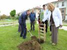 Parklar meyve bah�esi olacak