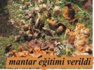 Mantarc�lar i� ba��nda