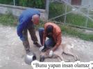 V�CDANSIZLAR!