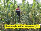 Bastonuyla hakim kar��s�na ��kt�