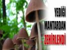 MANTARDAN ZEH�RLEND�