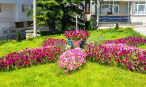 Geri d�n��leri muhte�em oldu