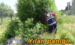 EV�N BAH�ES�NDE YILAN PAN���