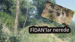 F�DAN'lar nerede?