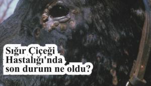 S���r �i�e�i Hastal���'nda son durum ne oldu?