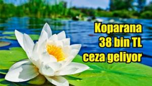 ���EK KOPARTMANIN CEZASI 38 B�N 751 L�RA