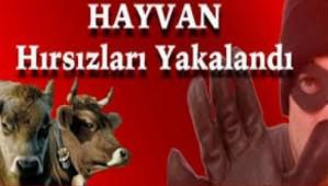 �nek h�rs�zlar� su��st� yakaland�