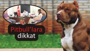 4 Bin 500 TL Para Cezas� Var
