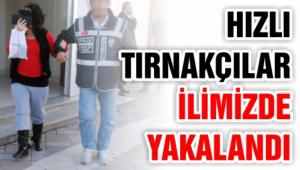 Aile boyu h�rs�zl�k