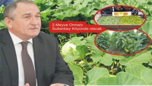 TOPRAKTAN BEREKET FI�KIRDI