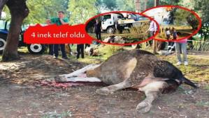 ELEKTR�K AKIMINA KAPILAN 4 �NEK TELEF OLDU