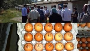 ORGAN�K YUMURTA ���N MUDURNU'YA G�TT�LER