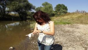 PATATES HASTALIKLARINA D�KKAT!