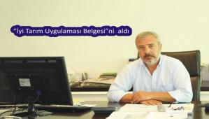BOLCA H�ND� KAL�TES�N� TESC�LLED�