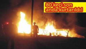 ��RET�M G�REVL�S�N�N KE��LER�N� K�YL�LER KURTARDI