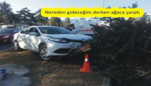 �am a�ac�n� devirdi