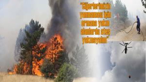 20 hektar k�l oldu