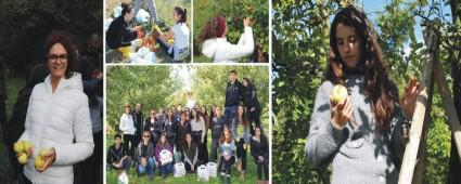 �rnek bah�eden ilk hasatlar�n� toplad�lar