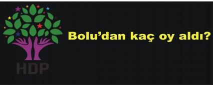 BOLU'DA HDP'N�N OYLARI D��T�