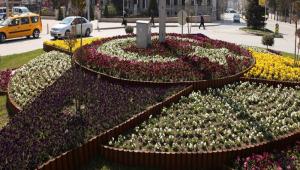 400 bin lale yolda