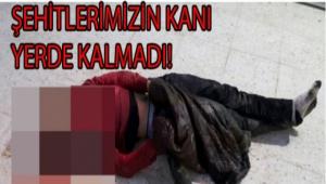 �EH�TLER�M�Z�N KANI YERDE KALMADI...