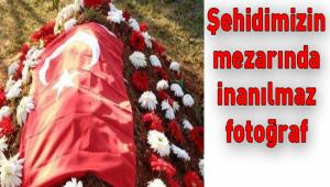 �EH�D�M�Z�N S�L�ET� MEZARINA D��T�