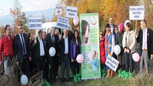 Meme kanseri i�in Pembe Kurdele Orman�