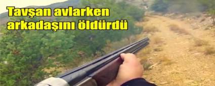 Tav�an av� hapiste bitti