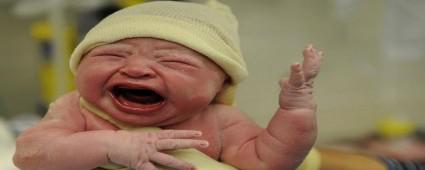 BOLU'DA 3 B�N 530 BEBEK D�NYAYA GELD�