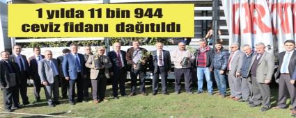 Ceviz fidan� da��t�m�na devam