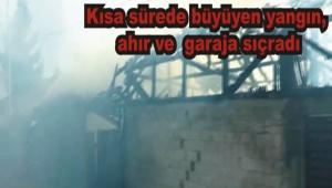 Odunluk k�l oldu