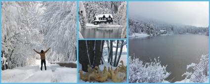 G�LC�K'TE KARTPOSTALLIK G�R�NT�LER