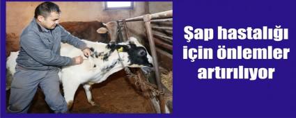 A��lama kampanyas� erkene al�nd�