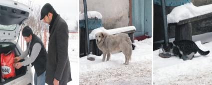 Belediye sokak hayvanlar�na yem b�rakt�