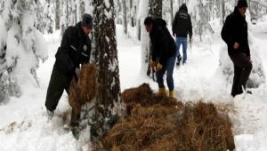 Yabani hayvanlar kar alt�nda kald�