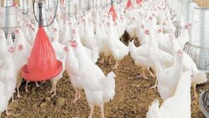 Beyaz et ihracat� 700 milyondan 472 milyon dolara d��t�