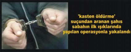 D�ZCE'DE ARANAN �AHIS BOLU'DA YAKALANDI