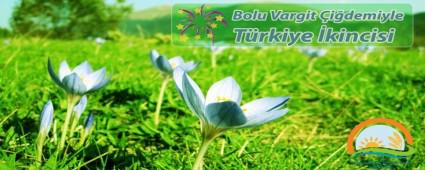 Bolu Vargit �i�demiyle T�rkiye �kincisi