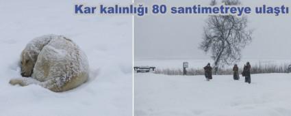 Abant'ta kar ya����