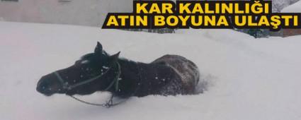 ABANT YOLUNDA KAR KALINLI�I B�R METREYE ULA�TI