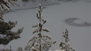 S�nnet G�l� buz tuttu