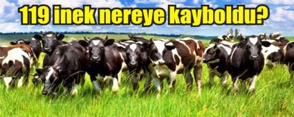 119 B�Y�KBA� KAYIP